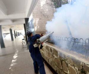 Las autoridades de la Secretaría están realizando operativos de fumigación a nivel nacional.