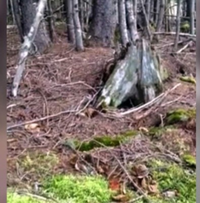 El video de la tierra 'respirando' provoca el miedo en Internet