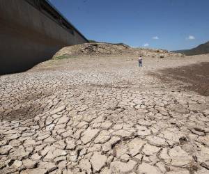 El nivel de agua de La Concepción continúa en descenso y ya se ubica en 25.93 %, situación que lleva a UMAPS a preparar medidas preventivas.