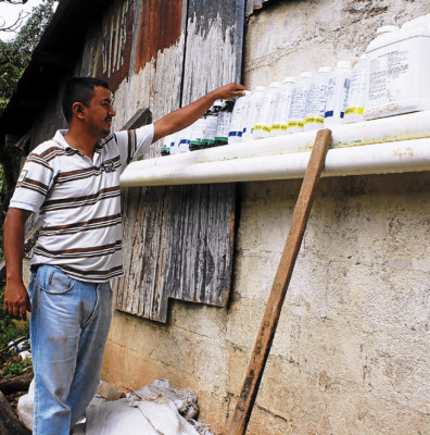 La roya amenaza cafetales de El Paraíso