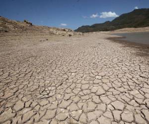 La Concepción está a 0.49 puntos del nivel crítico. Según UMAPS, esto significa que la reserva se reduce mientras se espera la recuperación por lluvias.