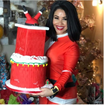 Así pasaron la Navidad Adamari López, Sofía Vergara, Luis Fonsi, entre otros famosos