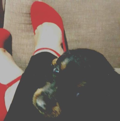 Los caninos de nuestros lectores