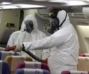 Expertos aseguran quie los repelentes de insectos no son suficientes para permanecer seguros de esta enfermedad....