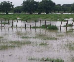 En varios departamentos se registran inundaciones debido a la saturación de suelo por las imparables lluvias en la región.