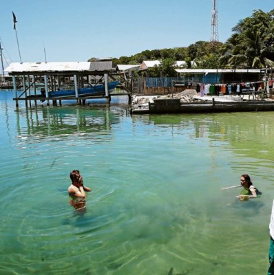 Utila, una isla con muchas aventuras por descubrir