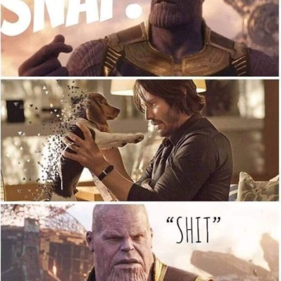 Los divertidos memes de John Wick después de que mataran a su perro