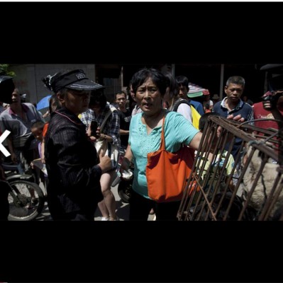 Mujer compra 100 perros para salvarlos de ser comidos