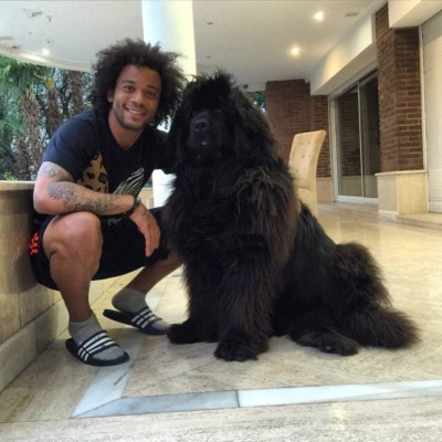 Los futbolistas posan junto a sus mejores amigos