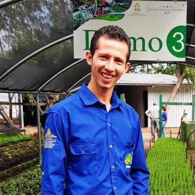 Más de 9 mil hectáreas afectadas están siendo reforestadas en el Distrito Central