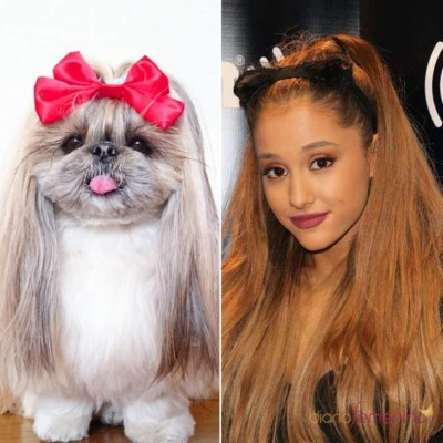 Peinados y cortes de cabello desastrosos