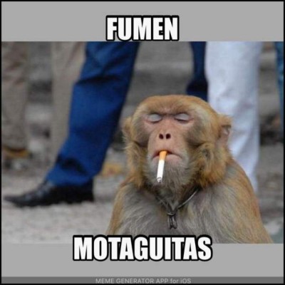 ¡Llegaron los imperdibles memes!