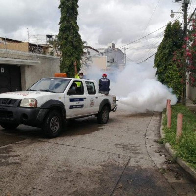 En 20 días se podría entrar en epidemia de dengue