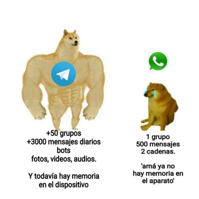 Nuevos términos de Whatsapp provocan lluvia de memes