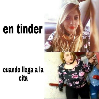 Memes virales de 2019: Gatos y el pollito amarillo entre los más compartidos