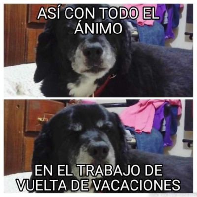 Los mejores memes sobre el regreso de las vacaciones de Semana Santa