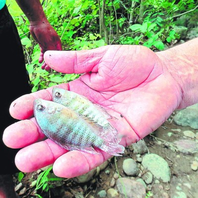 La pesca con dinamita acaba con especies del río Goascorán