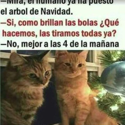 Los memes más divertidos que dejó la celebración de la Navidad