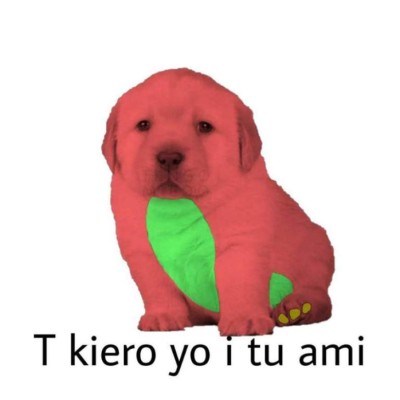 Los divertidos memes del perrito que han causado furor en Facebook