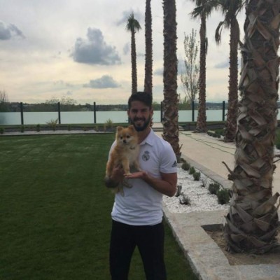 Estas son las peculiares mascotas de los futbolistas más famosos del mundo