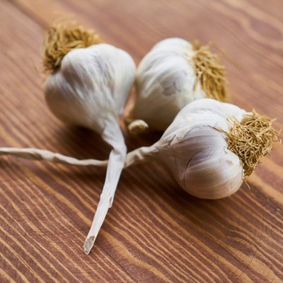 Combate, reduce y relaja: ¿cuáles son los beneficios de consumir ajo crudo?