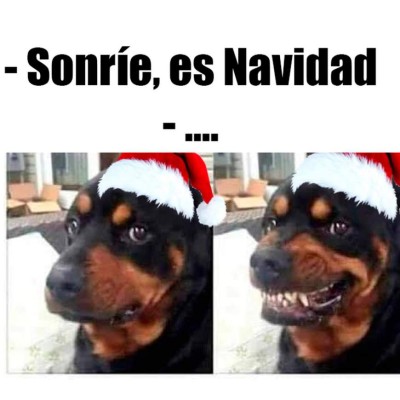 Los memes más divertidos que dejó la celebración de la Navidad