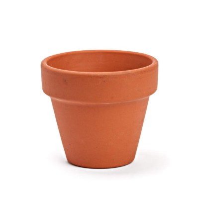 Convierta sus pasillos en espacios que roben la atención