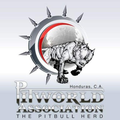 A romper los mitos sobre los pitbull