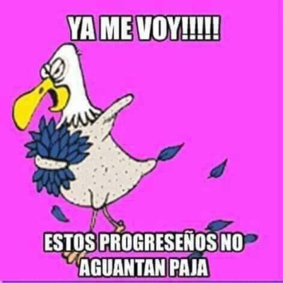 ¡Llegaron los imperdibles memes!