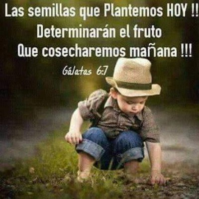 Acá están los mejores Catrachistes de la semana