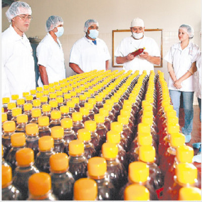 Impulsan apicultura artesanal de calidad