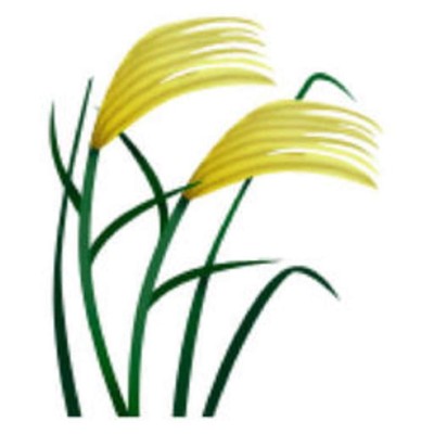 ¿Qué representan los extraños y nuevos emoticones de WhatsApp?