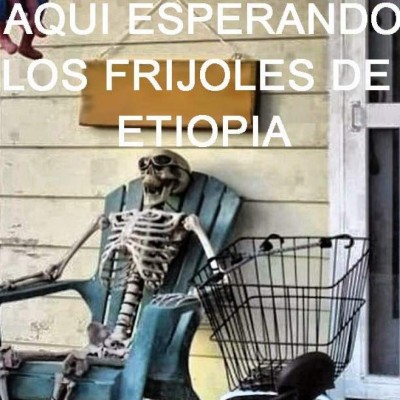 Hondureños se burlan del barco extraviado con frijoles de Etiopía  ylt;/