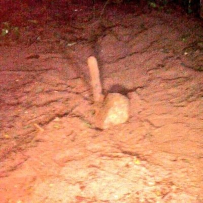 Hallan cadáveres de Miss Honduras Mundo y su hermana