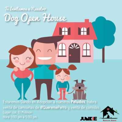 Cachorros en busca de hogar