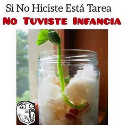 Si no hiciste ninguna de estas cosas en el pasado... ¡no tuviste infancia!