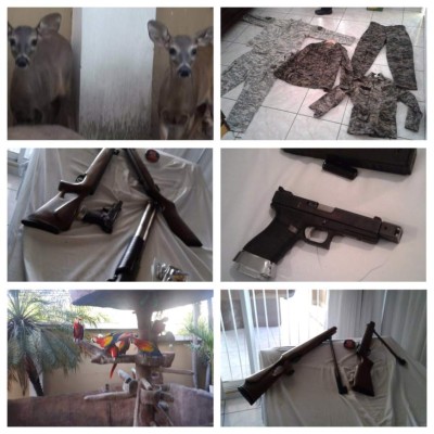 Operación Trueno: Capturas y allanamientos en al menos 17 departamentos de Honduras