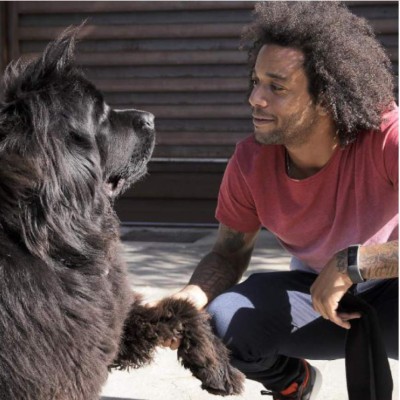 Estas son las peculiares mascotas de los futbolistas más famosos del mundo