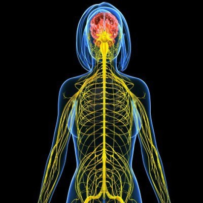 Carbohidratos saludables&nbsp;&nbsp;