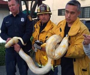 El incidente causó el pánico entre los clientes, aunque nadie resultó herido.