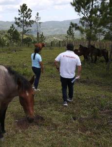 En Lepaterique, un municipio ubicado al sudeste de Francisco Morazán, en Honduras, este equipo comprobó que existen varios casos de gusano barrenador.