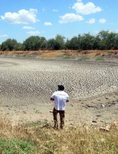 La industria del camarón en la zona sur de Honduras está en riesgo de desaparecer por falta de mercado.