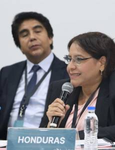 La ministra de la Secretaría de Agricultura y Ganadería (SAG), Laura Suazo, estuvo en Venezuela, donde alabó la iniciativa de AgroAlba.