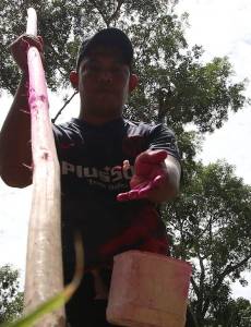 Los campesinos en el corredor seco comenzaron a sembrar a inicios de junio, un mes después de lo previsto debido al retraso en las lluvias.
