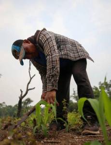 Cenaos dijo que Honduras se encuentra en una fase neutral, pero también en transición para ser impactada por el fenómeno de El Niño a partir de mayo.