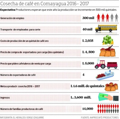 Honduras: La venta de café sostiene a Comayagua