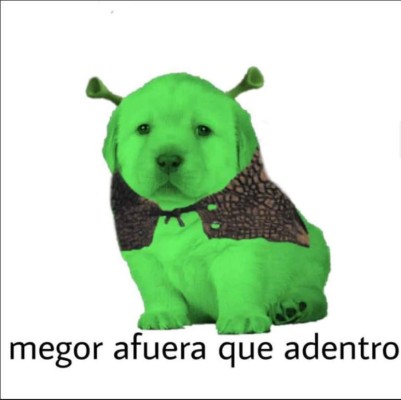 Los divertidos memes del perrito que han causado furor en Facebook