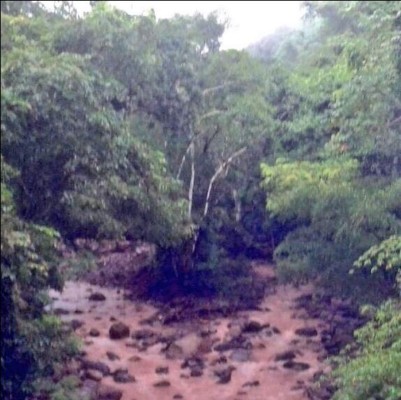 Hallan cadáveres de Miss Honduras Mundo y su hermana