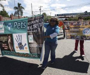 Integrantes de las diferentes asociaciones marcharon con pancartas.