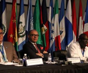 Represntantes de la FAO pidieron a sus países miembros que ejecuten un mandato político para que la Organización pueda enfocar sus esfuerzos y recursos en iniciativas que tengan impacto.